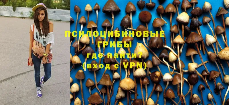 Псилоцибиновые грибы Magic Shrooms  купить наркотик  Большой Камень 